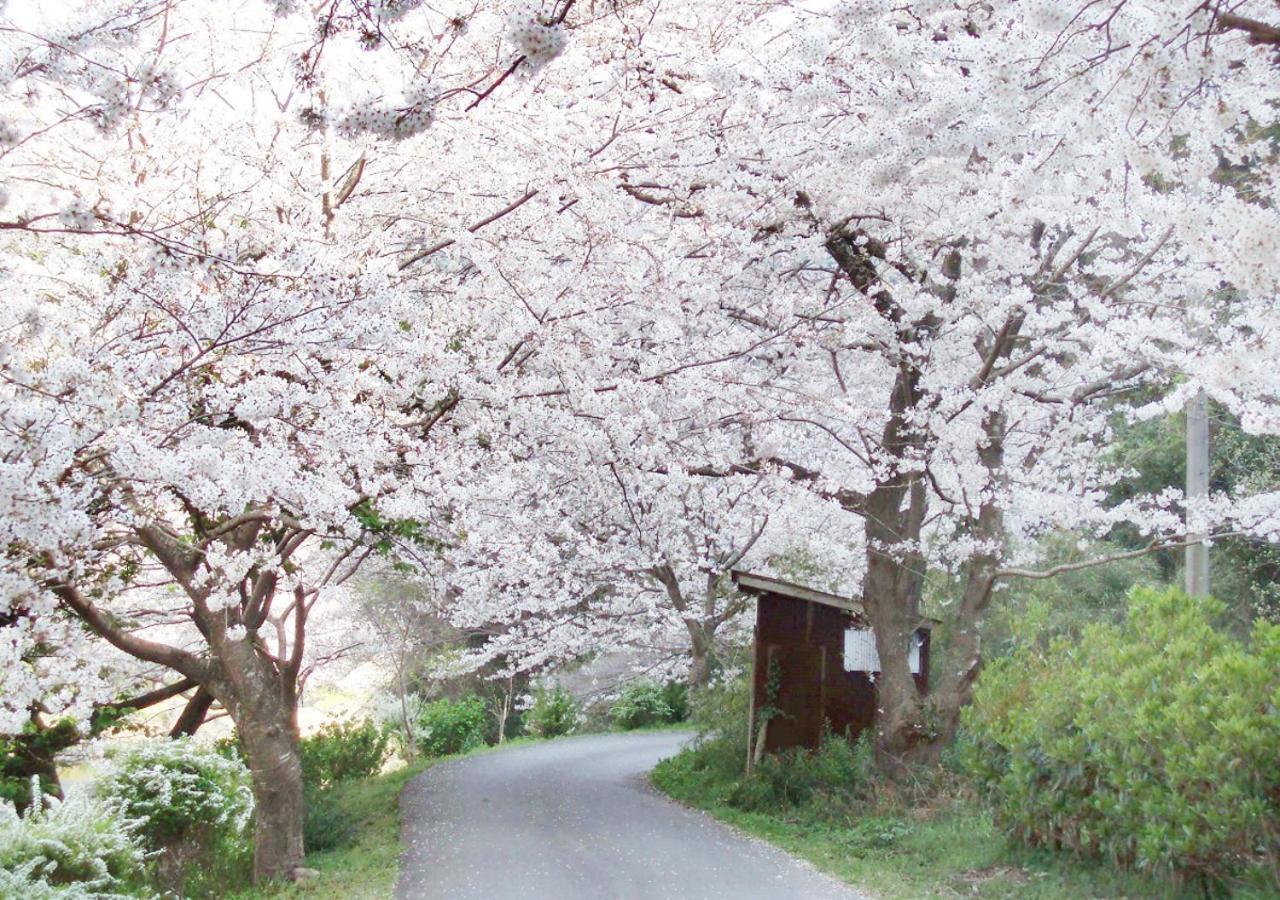Nishiizu Matsuzaki Itoen Hotel المظهر الخارجي الصورة